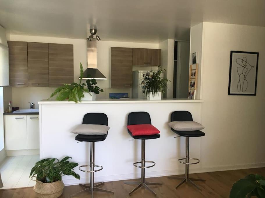 Appartement 55 M2 Le Chesnay Le Chesnay  Extérieur photo
