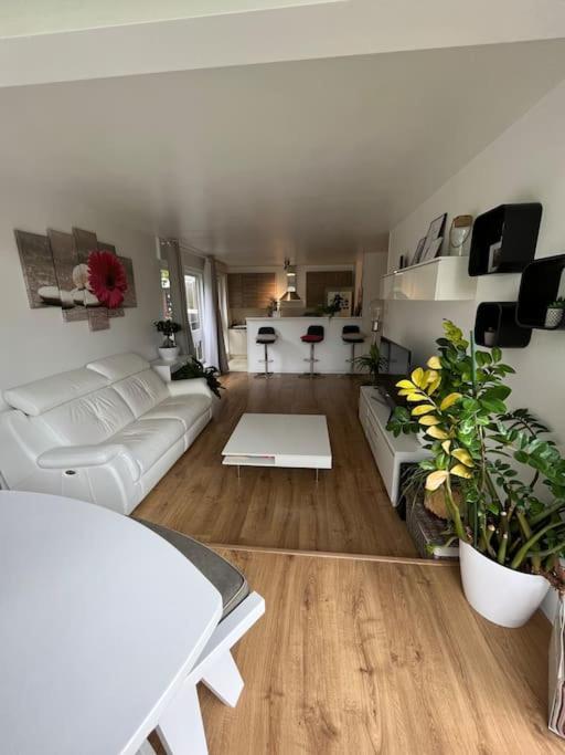 Appartement 55 M2 Le Chesnay Le Chesnay  Extérieur photo